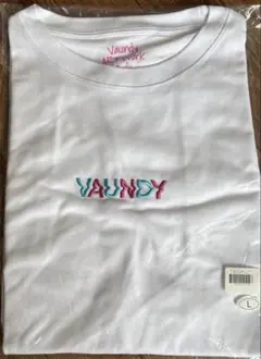 VAUNDY ロゴTシャツ　Blue×Pink サイズL ロッキン