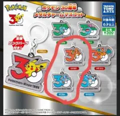 新品 ポケモン メタルチャームマスコット ヒトカゲ　ゼニガメ