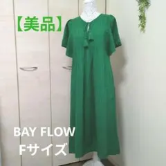 【美品】半袖ワンピースグリーンベイフローBAYFLOWエスニック刺繍 Fサイズ♡のサムネイル