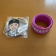 坂本勇人選手カウントダウン缶バッジ16個セット 坂本勇人選手カウントダウン缶バッジ16個セット 坂本勇人