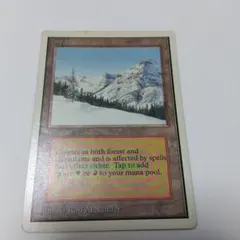 2026年最新】Taiga mtgの人気アイテム - メルカリ
