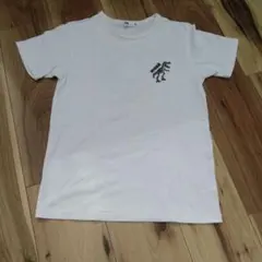 恐竜　WASK ワスク　 キッズ Tシャツ 160サイズのサムネイル
