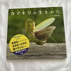 Item thumbnail for item ca28ada7-2f74-4789-922c-a5829d34f8e1