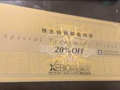 ⭐︎⭐︎ゼビオ　ゼビオホールディングス　株主優待 20%OFF 1枚⭐︎⭐︎