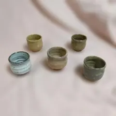 Item thumbnail for item 4592a0e8-5d32-4111-87f8-e7d56f40935e