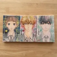 Item thumbnail for item 32129ee1-6269-496e-a987-620de6ba7d4b