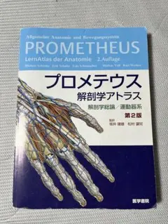 プロメテウス 解剖学アトラス 解剖学総論／運動器系 第4版 - メルカリ