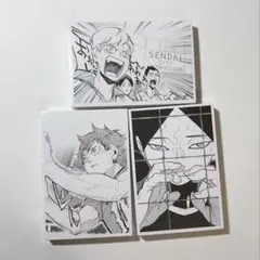 ハイキュー　クロニクル　思い出スナップフォトカード　全種