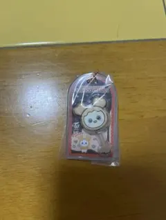 TWICE LOVELYSチョコがけボーロ＆チャーム ジヒョ