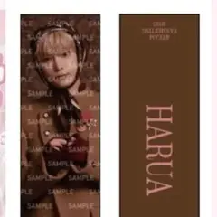 &TEAM ハルア スローガン HARUA