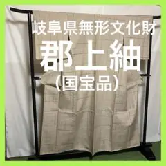 ☘️早い者勝ち☘️【国宝品】●岐阜県無形文化財【郡上紬】●幻の紬●草木染●紬●着物