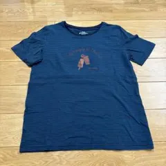 MCGREGOR ストライプ 半袖Tシャツ