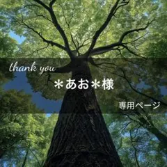 ＊あお＊様専用ページ(4月4日までお取置き可能)