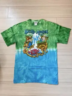 極美品] スプラッシュマウンテン Tシャツ ゴールデンMサイズ usa製 