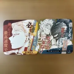 0808様 リクエスト 2点 まとめ商品