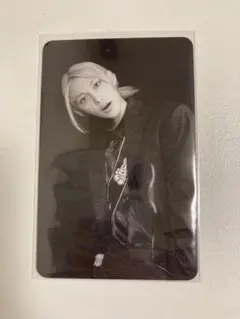 Stray Kidsスキズ合(HOP)アコーディオン　モノクロトレカフィリックス