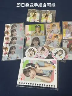 櫻井優衣 すきくじ グッズまとめ売り FRUITS ZIPPER