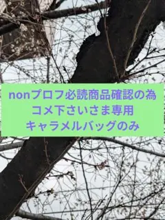 nonプロフ必読商品確認の為コメ下さいさま専用　キャラメルのみ