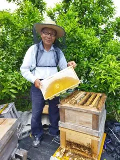 国産 はちみつ❁北海道 菩提樹❁ 900g 生蜂蜜/国産蜂蜜 - メルカリ