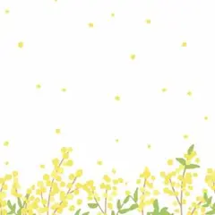 ももたろう様 リクエスト 4点 まとめ商品