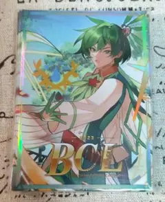 海外大会限定 ロロワ スリーブ 希少品