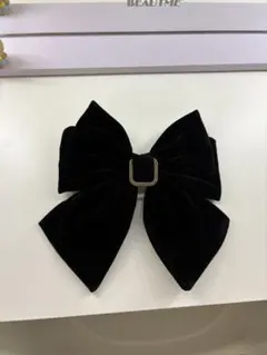 Item thumbnail for item c2a0590d-21ad-4d61-99ee-21bb669182cb