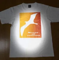 激レアDragon Ash　MOB SQUAD 03ツアー Tシャツのサムネイル