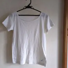 中古Chacott マラーホフTシャツ