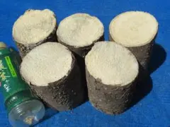 Item thumbnail for item ac1b77ca-0644-4ead-915f-de3b370ccd16