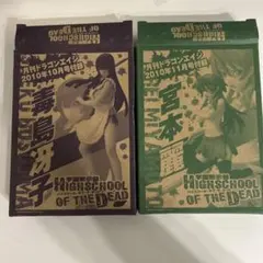 カードスリーブ　学園黙示録　ハイスクールオブザデッド　毒島冴子 学園黙示録 HIGHSCHOOL OF THE DEAD」毒島冴子の衣装を着た