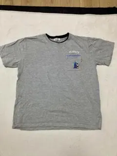 Item thumbnail for item 42c766d2-1cb5-4beb-9301-995ea76587f4