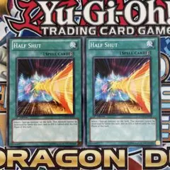 英語版　1st ハーフシャット　2枚セット