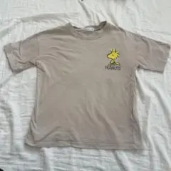 ZARAスヌーピー Tシャツ 140美品ホワイト白半袖　PEANUTSピーナッツ