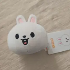 Stray Kids　LeeKnow　Leebit　ストレスボール