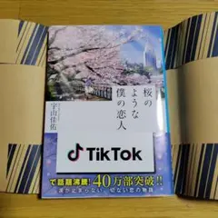 桜のような僕の恋人