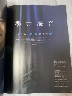 ザテレビジョン　2025秋　櫻井海音