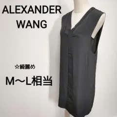 ☆綺麗め　ALEXANDER WANG M〜L相当 シアーワンピース　B190のサムネイル
