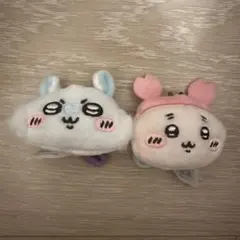 치이카와 おかおマルチリング マスコット 헌책방 모모가