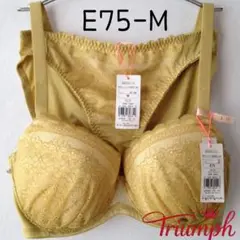 トリンプ アモスタイル 夢見るブラ　ブラジャーショーツセットE75M