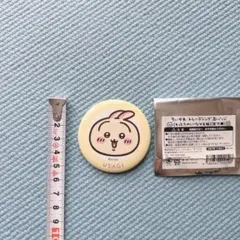 うさぎ 缶バッジ