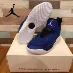 【新品未使用・箱黒タグ付】ジョーダン33 SE PF ブルー 29㎝