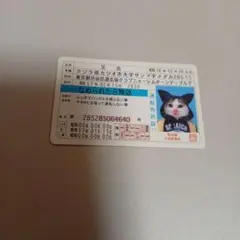 なめ猫運転免許証風カード 又吉 DJ猫のサムネイル
