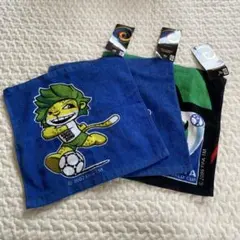 FIFA 2010 南アフリカ ワールドカップ 記念セット 2010FIFAワールドカップ南アフリカ大会公式記念コイン公式記念