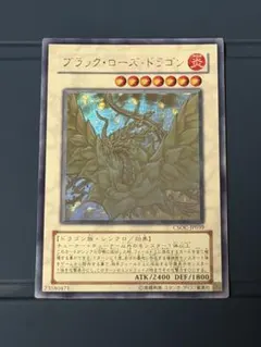 2026年最新】ブラック・ローズ・ドラゴン ホロの人気アイテム - メルカリ