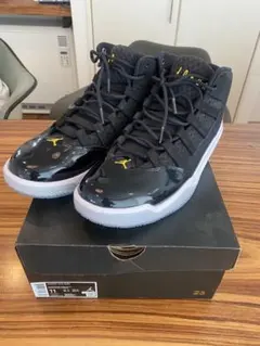 29cm 新古 JORDAN MAX AURA エアジョーダン マックス オーラ