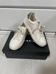 新品未使用 正規品 COACH スニーカー レディース 23.0