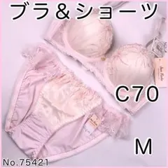 ブラジャーショーツセットC70 No.75421