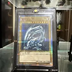 2026年最新】Wcs スリーブ 遊戯王の人気アイテム - メルカリ