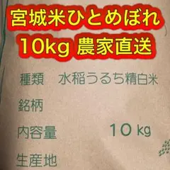 宮城県栗原市産 ひとめぼれ 10kg 玄米 農家直送 令和7年 環境保全米