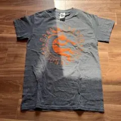 グランドキャニオン Tシャツ S グレー ココペリ ギルダン スーベニア 古着